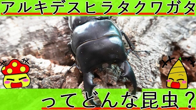 Thumbnail of post image 199